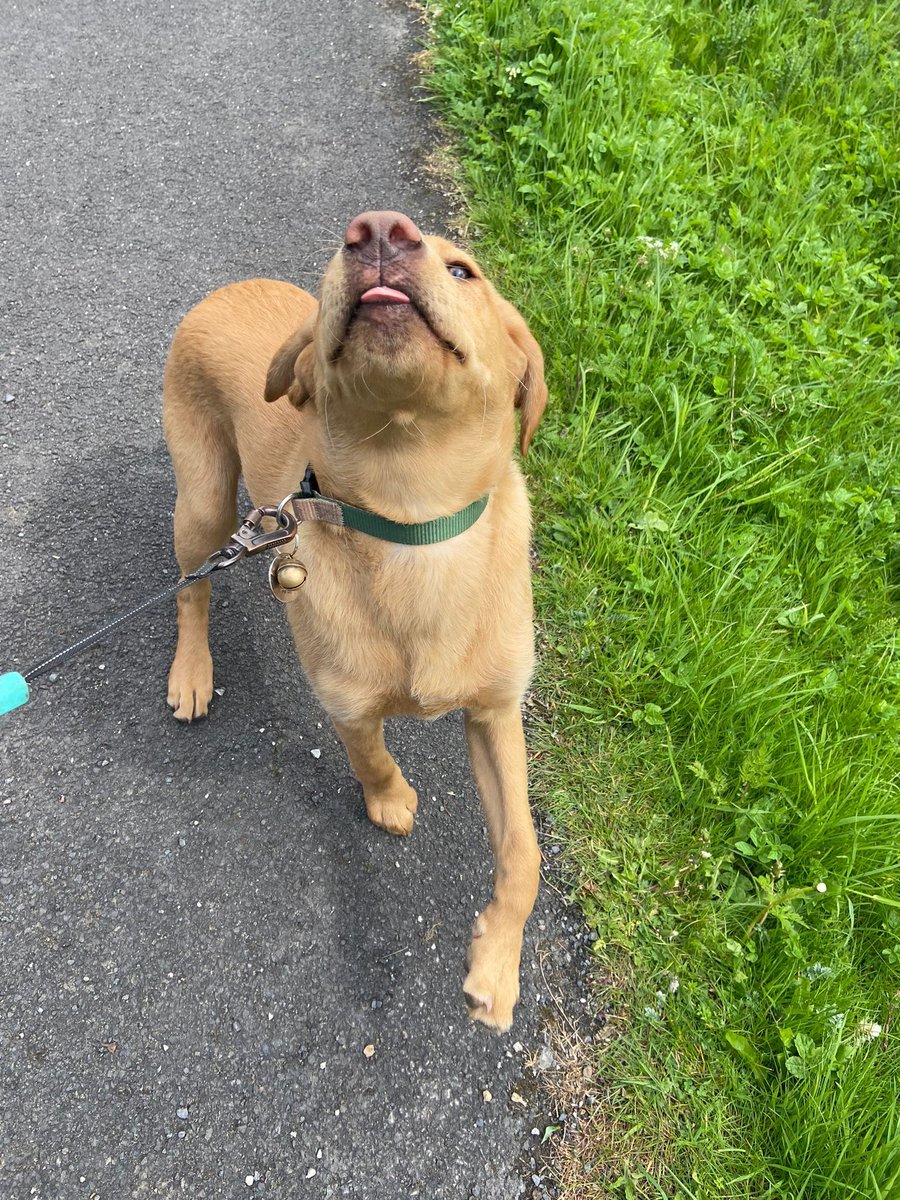 Three whole months with you Stevie! Lots more fun to come!!