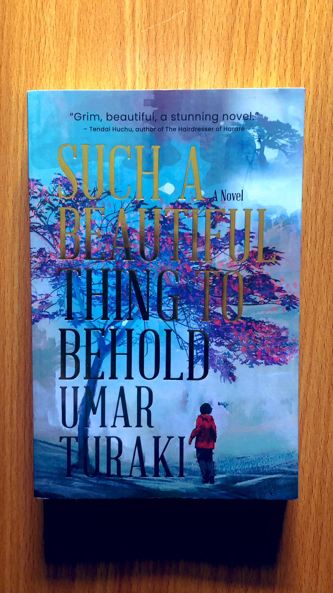 Reading this in the new week! Such a Beautiful to Behold by Umar Turaki @nenrota is indeed a beautiful book to behold!