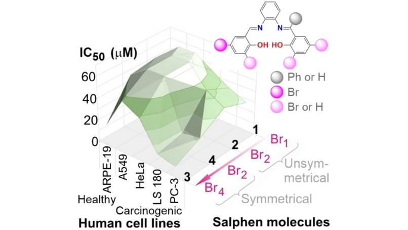 Keeping the metal away. Metal-free brominated Salphen molecules selectively avoid proliferation of cancer cells depending upon the number of bromine substituents and symmetry pattern. <a href="/SupraNano/">The Supra And Nano Lab</a> <a href="/UNAM_MX/">UNAM</a> onlinelibrary.wiley.com/doi/10.1002/cb…