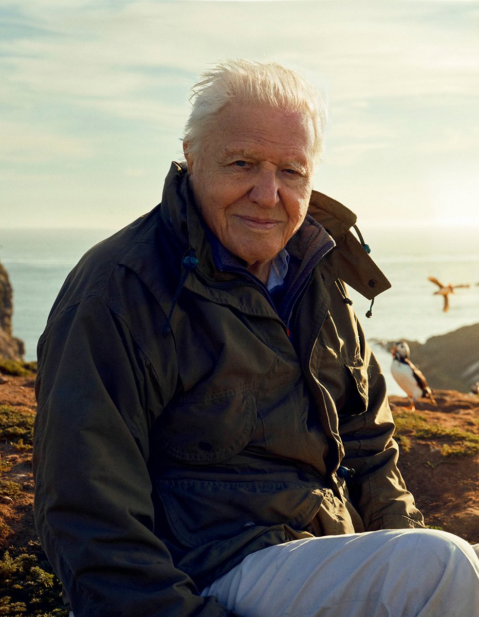 Happy birthday to Sir David Attenborough! 🎉 

A national treasure, his love of nature has been an inspiration to millions.

Today's a good time to repeat his words to encourage us all to #SaveOurWildIsles:

“If we are to save what we have left, we must act now”