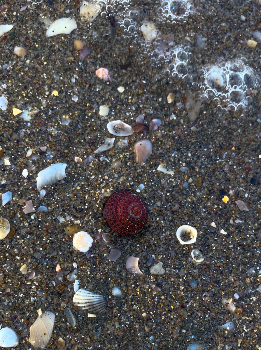 artisrem's tweet photo. رحلة للبحر لا و لن تُنسى طبعًا 🌊 https://t.co/NIbjGLc5Gc