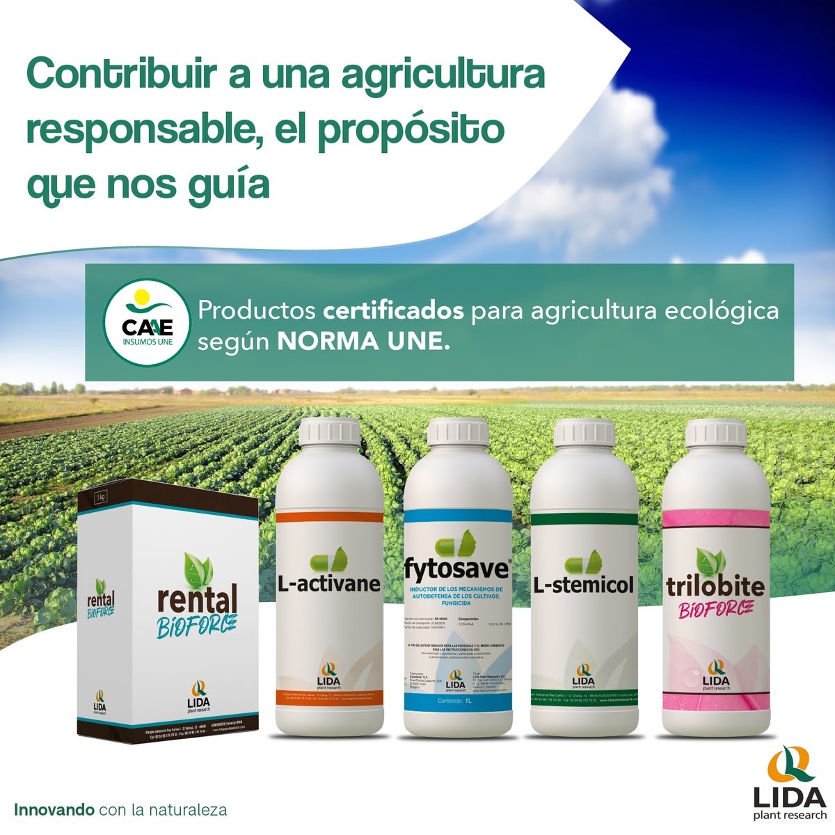 LidaPlant's tweet photo. 🌱🌏¿Conoces nuestra gama de productos ecológicos con certificación #CAAE?
En LIDA, estamos comprometidos con una agricultura responsable y respetuosa con el medio para obtener alimentos de máxima calidad. https://t.co/UGJd6CFozk