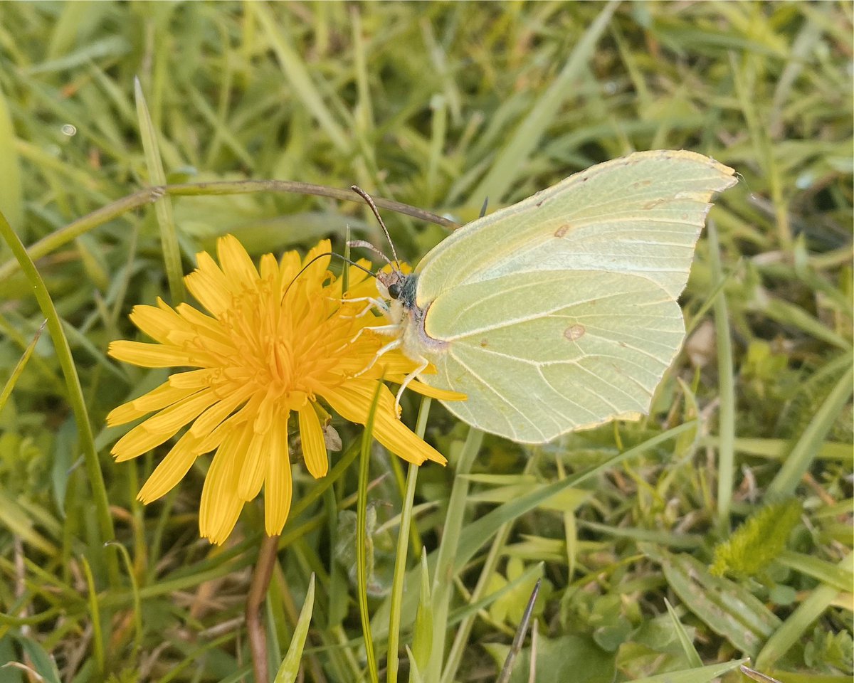 AmberHall193's tweet photo. Good morning 🦋 https://t.co/8fISIdFQgs