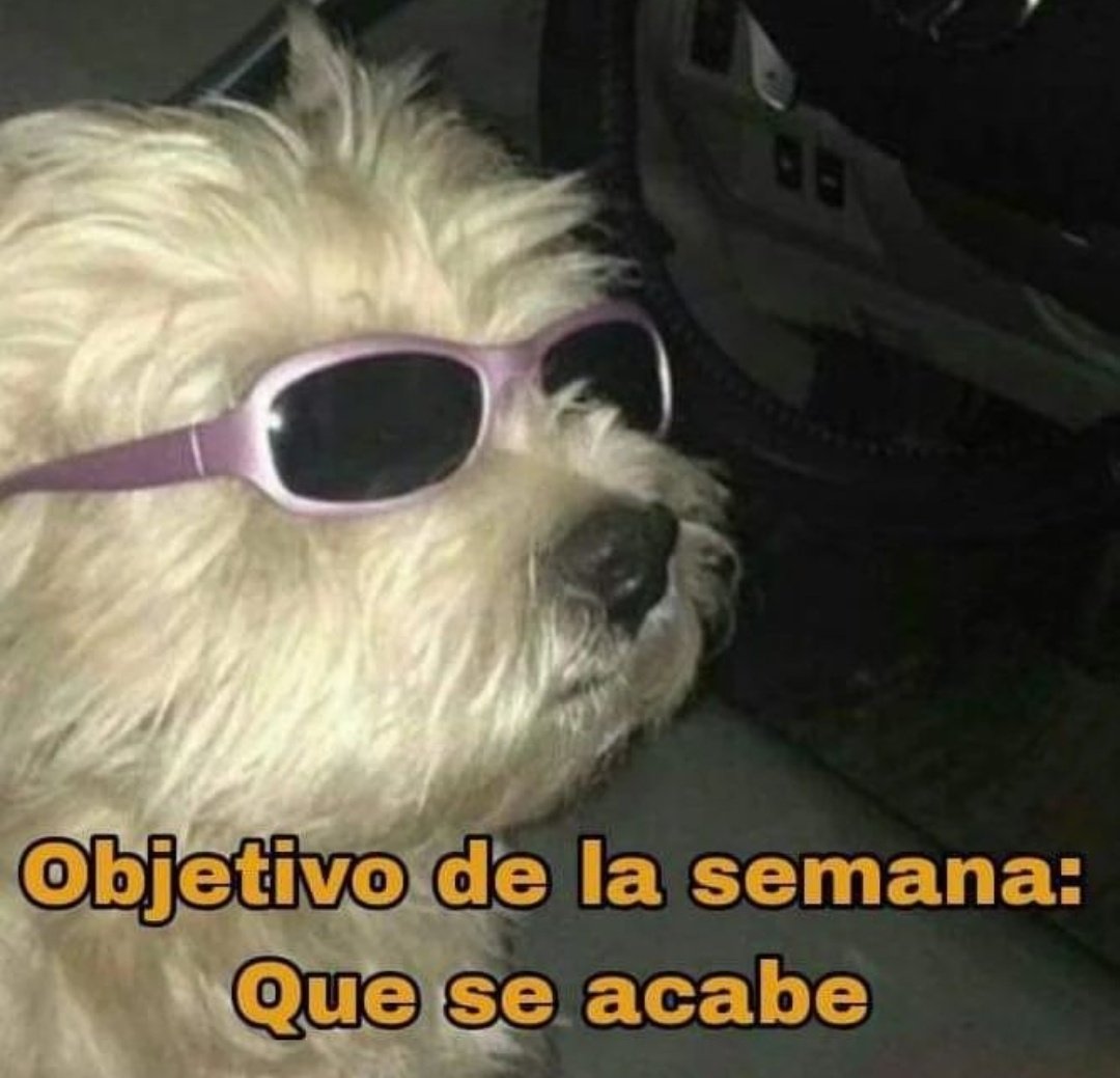 Frases Barbie (@barbie_context) on Twitter photo 