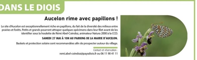 Aucelon rime avec Papillons #fete de la nature