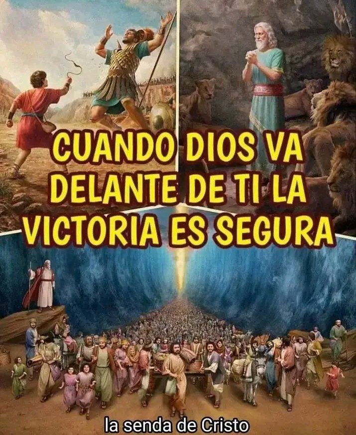 faustinodelgado's tweet photo. Padre poderoso y bueno, muchas gracias porque tú siempre me has dado la victoria.
Me has dado la victoria en mi hogar, con mis hijos y con todos mis familiares y amigos.
Muchas gracias mi Señor y Dios.
AMÉN Y AMÉN.. https://t.co/855dlalWFk
