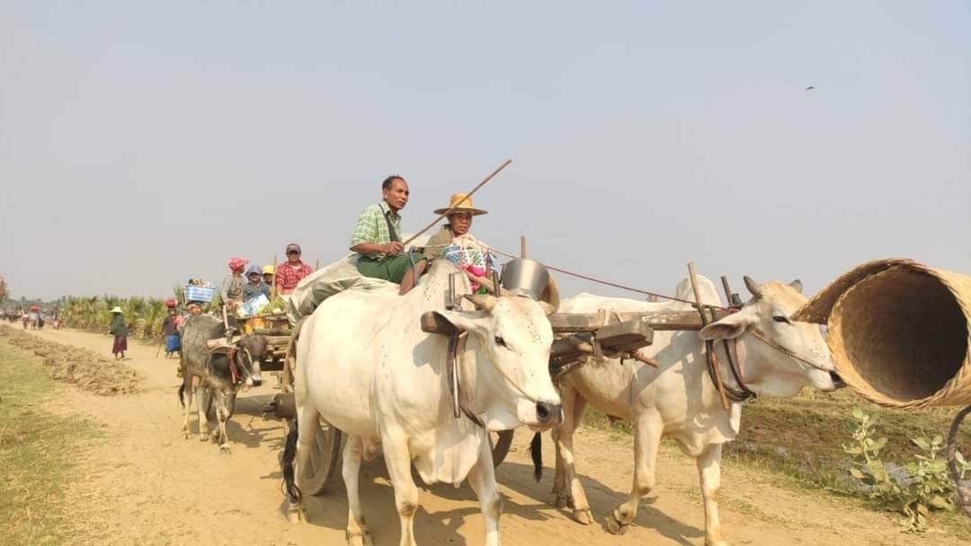 Khithitofficial's tweet photo. ခင်ဦးမြို့နယ်တွင် ယနေ့ နံနက်ပိုင်း စစ်တပ်က ထပ်မံ စစ်ကြောင်းထိုးလာ၍ ပြည်သူ ၇၀၀၀ ဝန်းကျင် ထွက်ပြေးတိမ်းရှောင်နေရ
Read more->https://t.co/PuVy2NfQcf https://t.co/dnRxnnh3t3