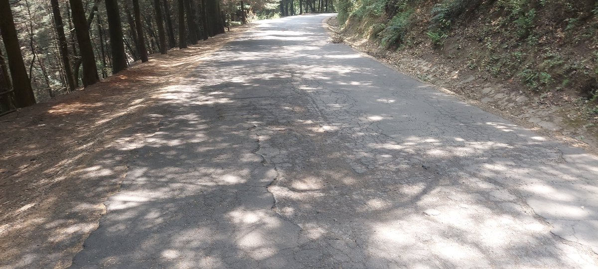 krakend's tweet photo. El camino en los Dinamos necesita reparaciones profundas @Luis_GQM y cada administración es lo mismo. La comunidad de la @ALaMagdalenaC dice que están en juicio esperando los recursos que nunca llegan porque el Alcalde en turno quitó el presupuesto para el parque ecológico... https://t.co/jX0PN5ttMo