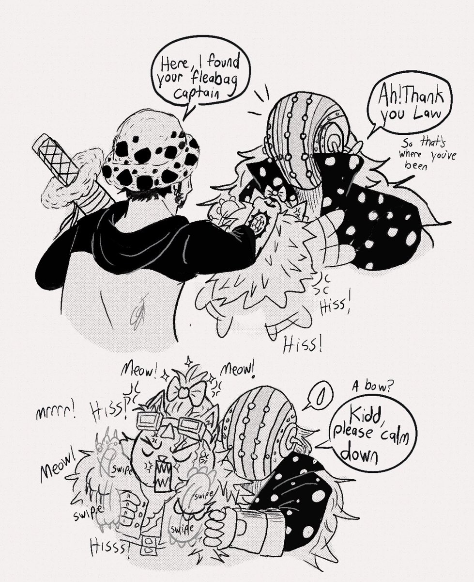 It’s okay guys Law didn’t do anything mean to Kidd cat

I think