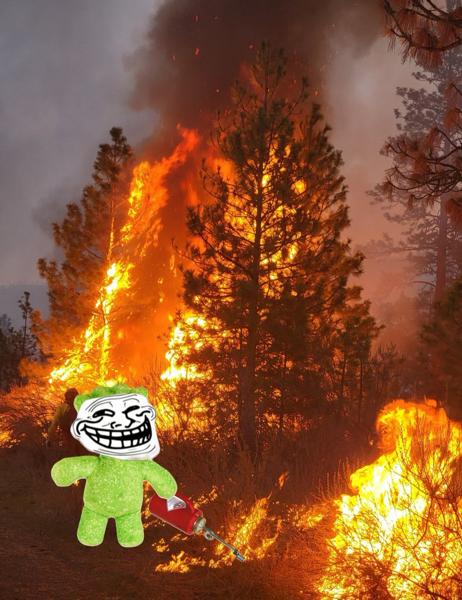 Sour Trolls || SUs tweet media