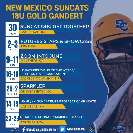 NM SUNCATS 18U GOLD - GANDERT tweet media