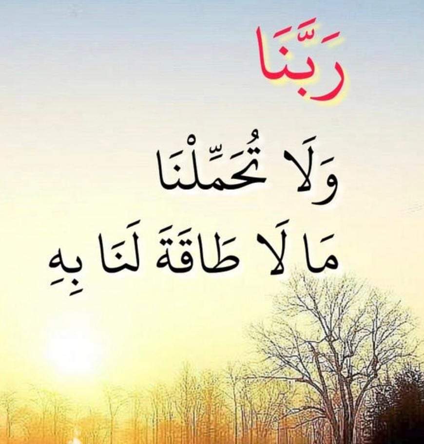 GhraizRana's tweet photo. آمين آمين يارب
صباحكم خير https://t.co/OfJQmTnRnw