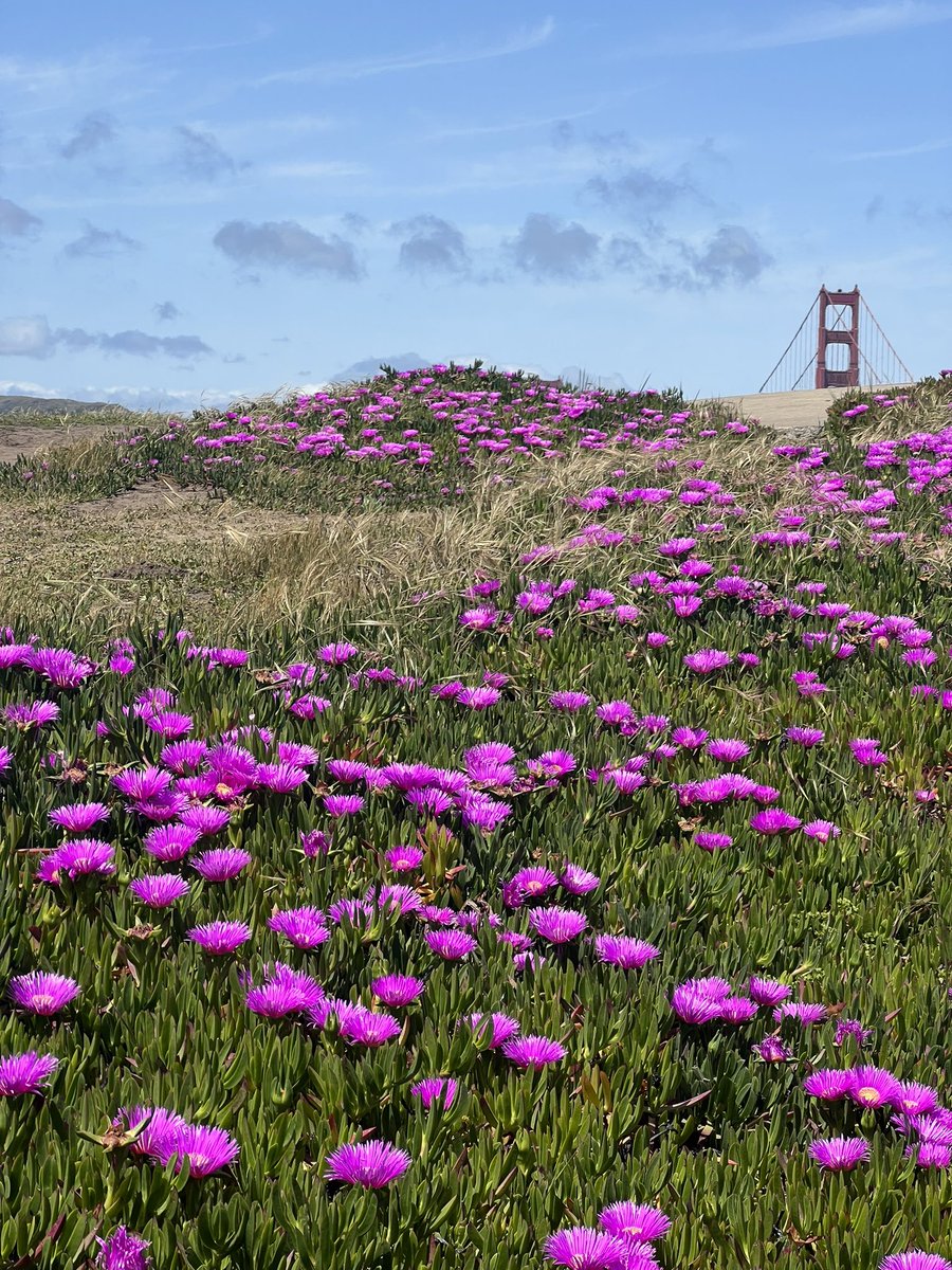 Christine Deakers ✨ tweet media