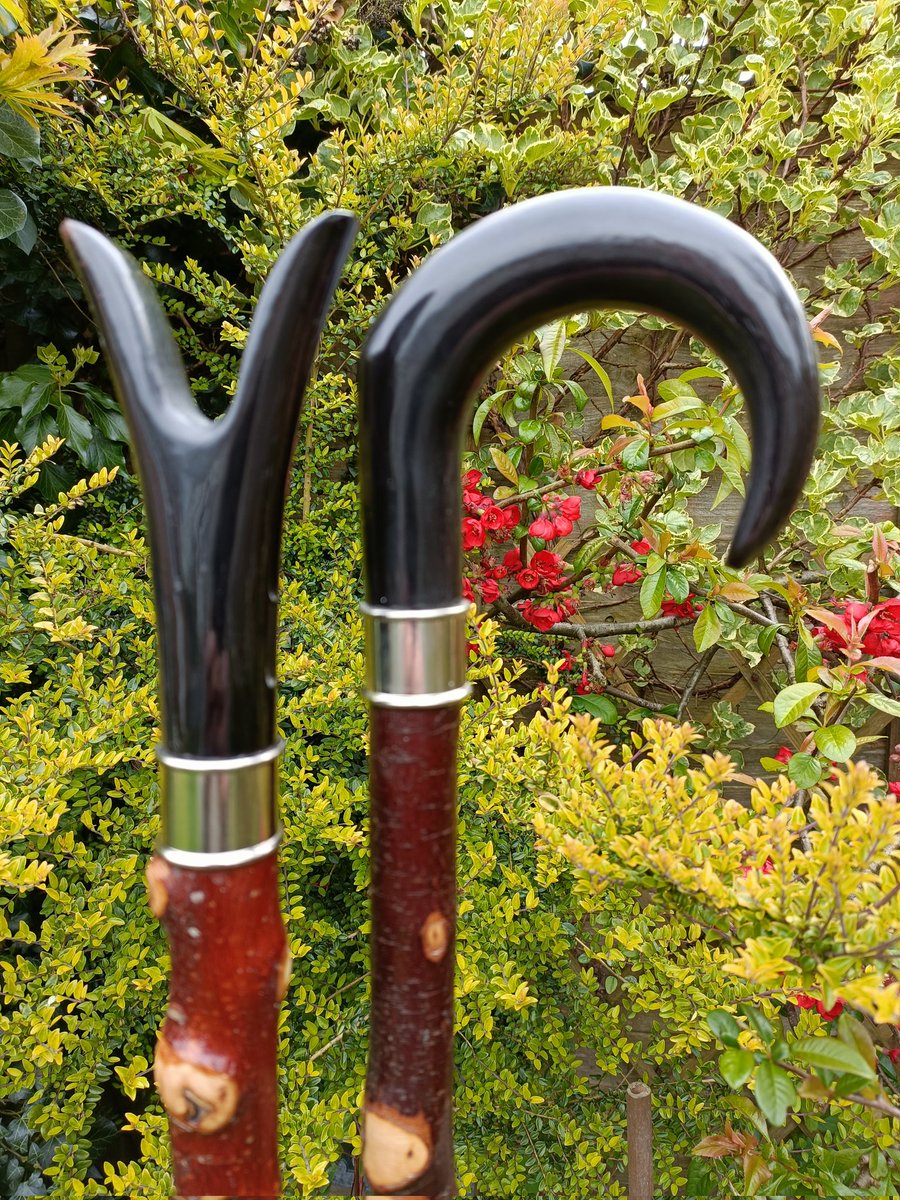 Norfolkstickman's tweet photo. Buffalo horn Cumbrian Market stick and Churchill Thumb stick, silver collar on a Blackthorn shank. DM for information. #summer #walking #sheep #CountrySide https://t.co/z8XTRYDJ6U