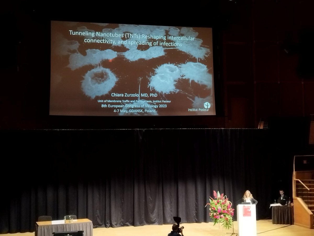 MS_Oliveir's tweet photo. I had such an amazing time at #ECV2023! Great talks, lovely weather and venue, and a best poster prize awarded to my latest work @LabWeekes 

Stay tuned to find more it soon! https://t.co/dHaod9gGMe