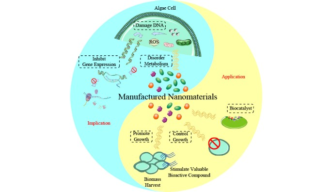 CNKI_Int's tweet image. The wide application of #manufactured nanomaterials (MNMs) has resulted in the #inevitable release of #MNMs into the aquatic environment along their life cycle. For details, please click here: doi.org/10.1007/s11783…