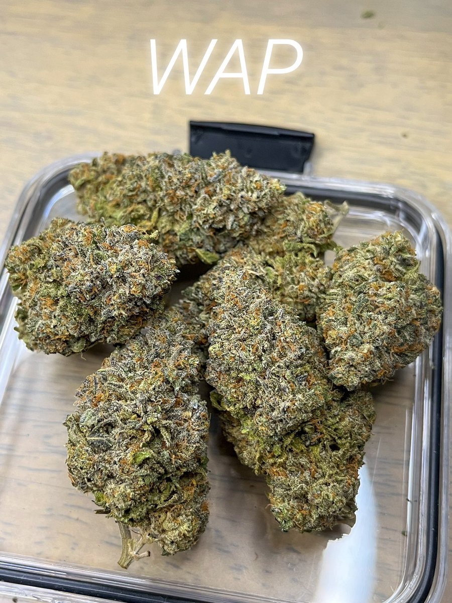 Cali Snow TH on Twitter "WAP 💦🐱 (60 Indica 40 Sativa) THC 25
