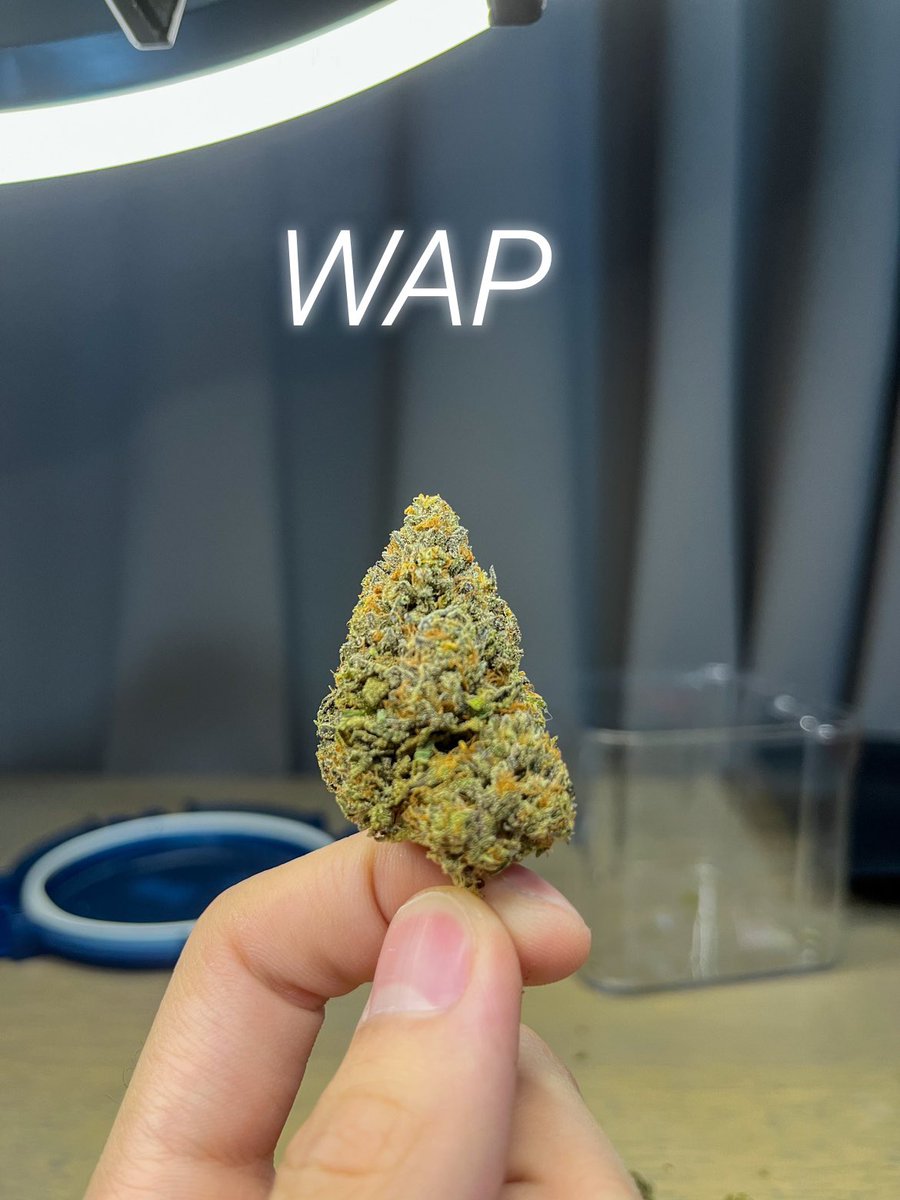 Cali Snow TH on Twitter "WAP 💦🐱 (60 Indica 40 Sativa) THC 25
