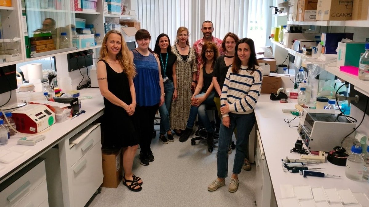 🧵 Para comenzar el lunes, recordamos en un #hilo algunas de las #NoticiasISCIII de la semana pasada:

📰 La respuesta inmunitaria contra la #COVID19 se mantiene en niveles suficientes en pacientes con cáncer hematológico que reciben un trasplante ➡️ bit.ly/3nlS3tP