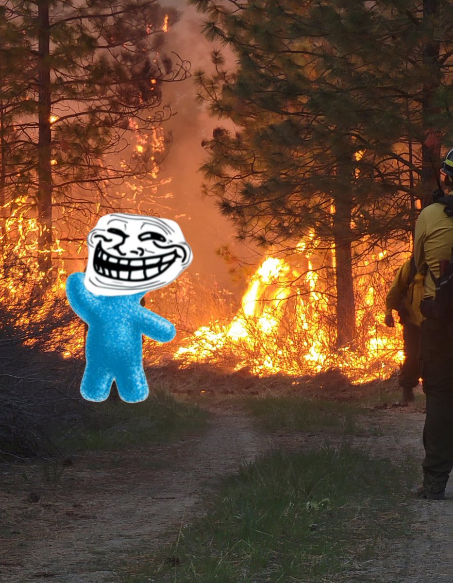 Sour Trolls || SUs tweet media