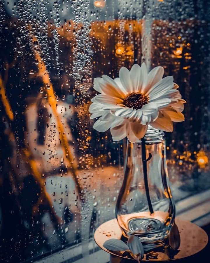 We small, ordinary people 
somewhere in the silence 
with a big heart, 
we love in an unusual way...