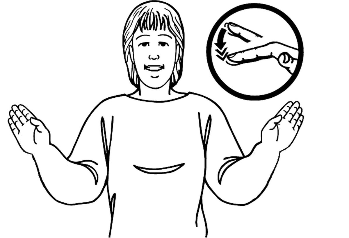 Today marks the start of New Zealand Sign Language Week. So I looked up what bat or pekapeka is on NZSL Dictionary and I was stoked to see the flapping of arms just like a bat! A very easy one to remember! nzsl.nz/signs/7048 @Deaf_Aotearoa  #nzbats 
#teampekapeka 🦇