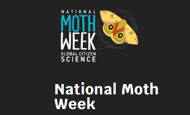 Vijay Barve tweet media