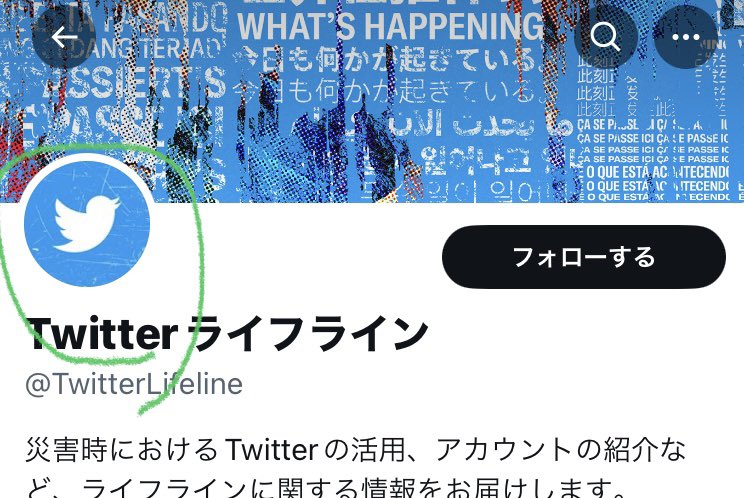 仮想通貨Bar　TV’ｓ tweet media