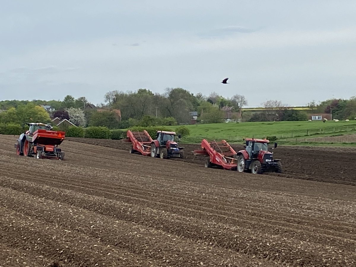 J S Scholes 🇺🇦 tweet media