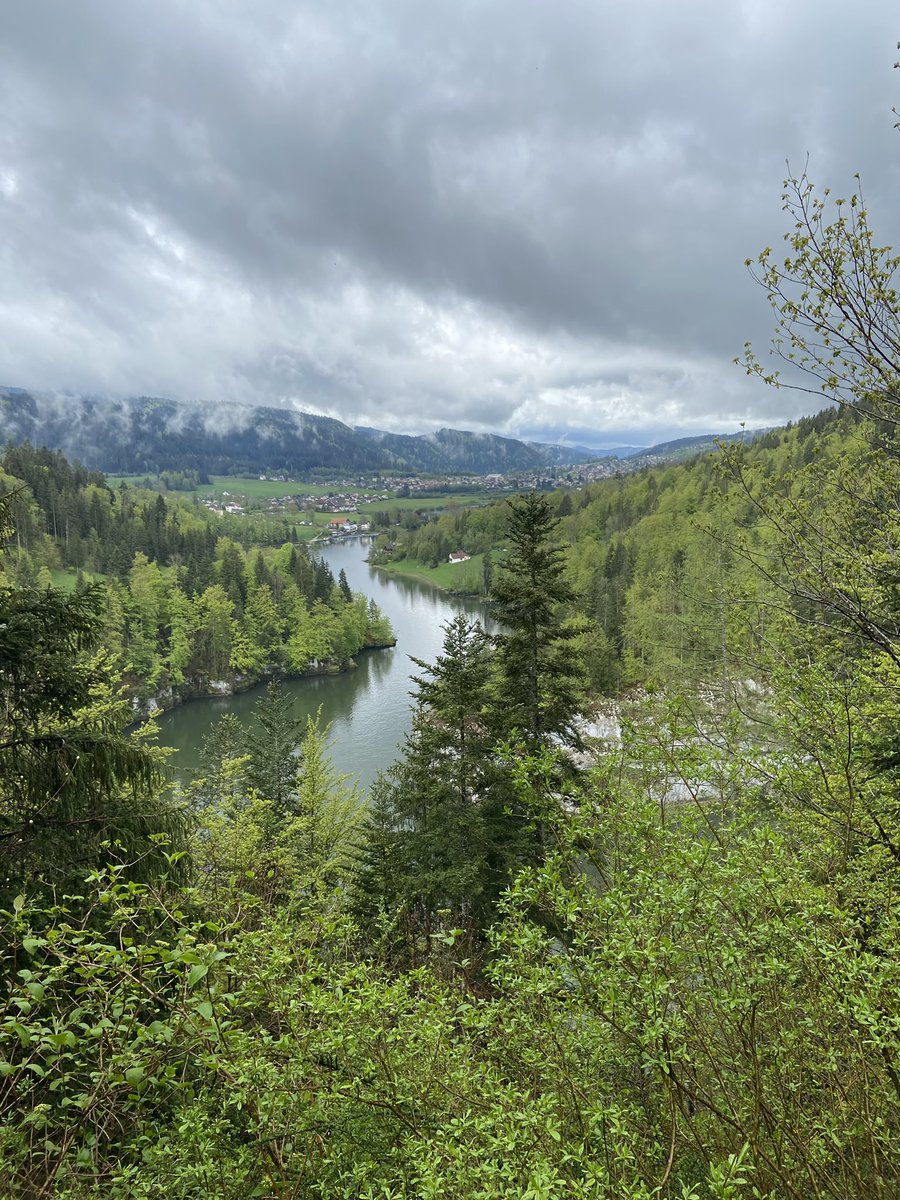 vipiperrin's tweet photo. #Walk #Forest #River #Oxygen #biodiversity #NatureBeauty #SaveSoil #SaveSoilEnvironment #SaveSoilLife #ConsciousPlanet
ππππ§π± https://t.co/hkjzWVGKuy