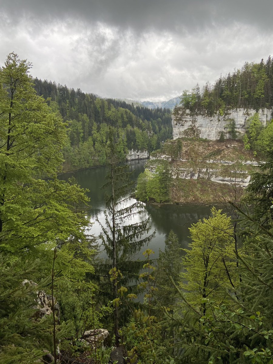 vipiperrin's tweet photo. #Walk #Forest #River #Oxygen #biodiversity #NatureBeauty #SaveSoil #SaveSoilEnvironment #SaveSoilLife #ConsciousPlanet
ππππ§π± https://t.co/hkjzWVGKuy