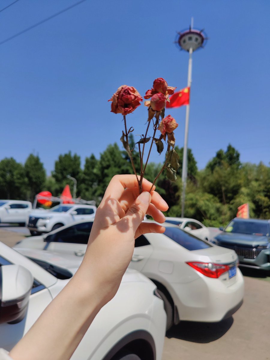 lalaaow1's tweet photo. 花花 https://t.co/HAMrTcEfWQ