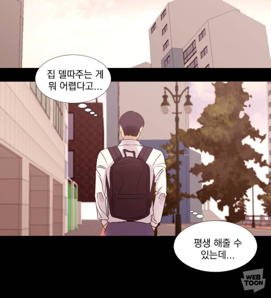 캔버라 tweet media