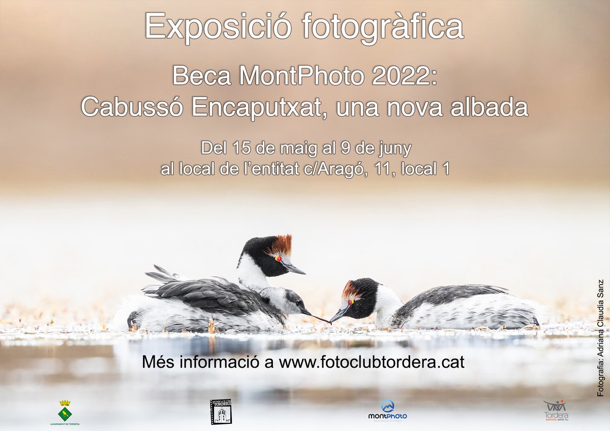 Foto Club Tordera tweet media