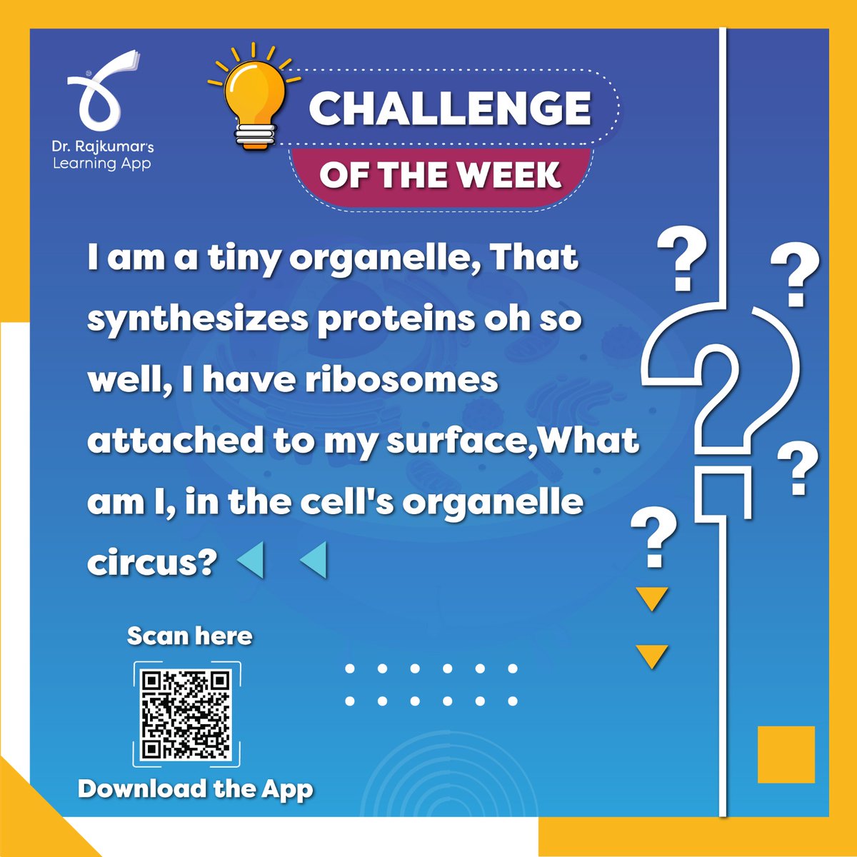 DrRajkumarsApp's tweet image. Challenge Of The Week:
I am a tiny organelle,
That synthesizes proteins oh so well,
I have ribosomes attached to my surface,
What am I, in the cell&apos;s organelle circus?

#drrajkumarslearningapp
#challengeoftheweek
