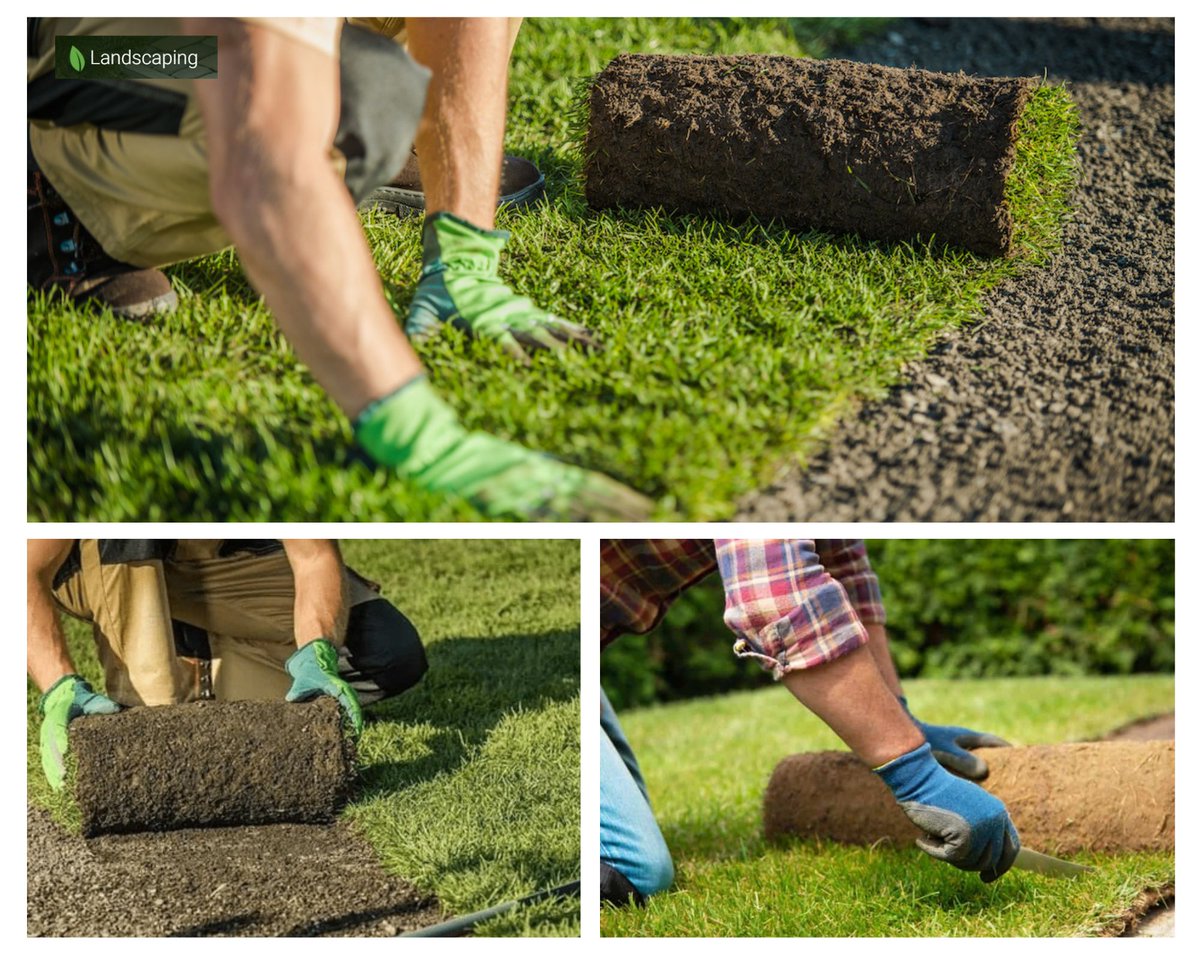 slandscapingpro's tweet photo. Revitalize your outdoor space with Sydney Landscaping Pro's expert turf-laying services. Check this link
https://t.co/Njsfnmwn8L
#turf #turflay #sydney #sydneyturf #sydneyturflaying #turflaying #turfmaintenance #turflayingservice #turflayer #turflayer #beautifulturf #turfinstall https://t.co/2WRLvvXG72