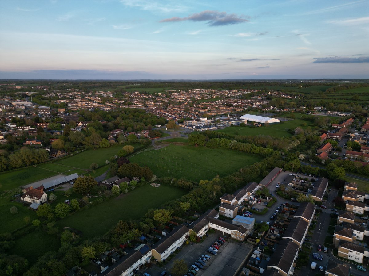 Franky uptown Harlow Big Nose tweet media