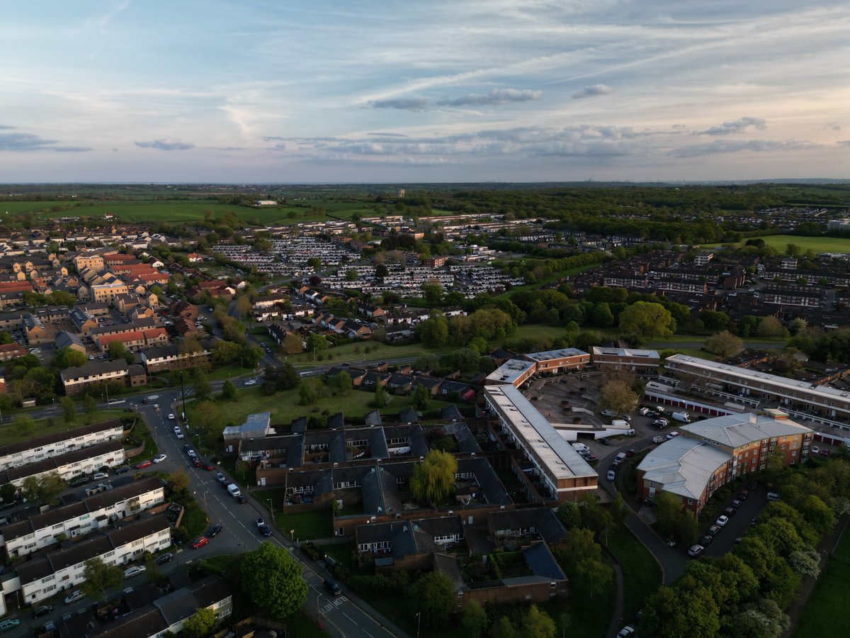 Franky uptown Harlow Big Nose tweet media