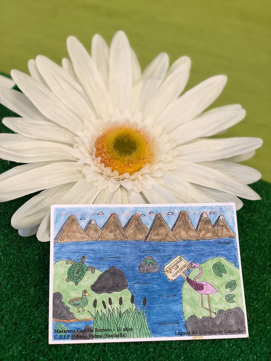 CEIP Federico García Lorca tweet media