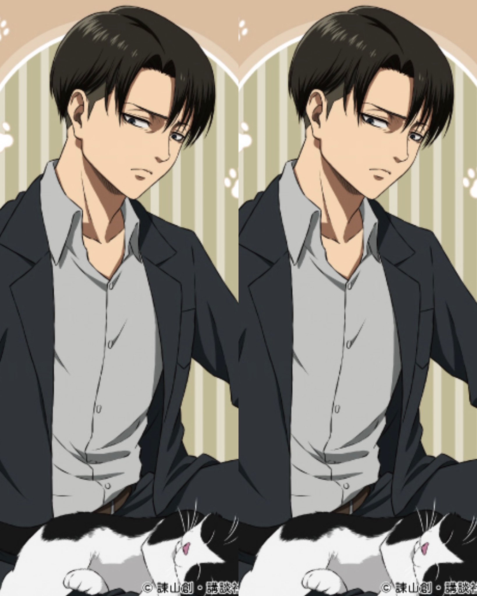 Kitty levi discount