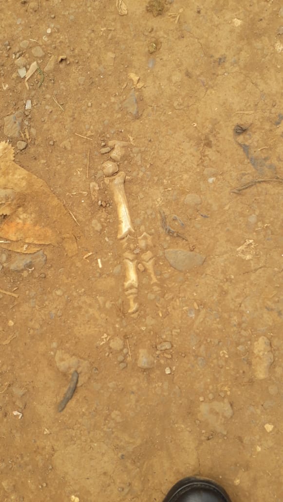 Laanken's tweet photo. Is this a human hand, leg or a fossil...I found this strange thing  just beside the road in Uthiru town... @KBCChannel1news,@Ma3Route,@DCI_Kenya, @AnthroKenya https://t.co/TkNJHrd001