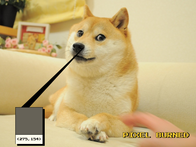 DogePixelBot's tweet photo. Pixel (275, 154) burned by lachlanbeaton.eth
https://t.co/wHeKDy0HA0 https://t.co/WE0slhAJ9B