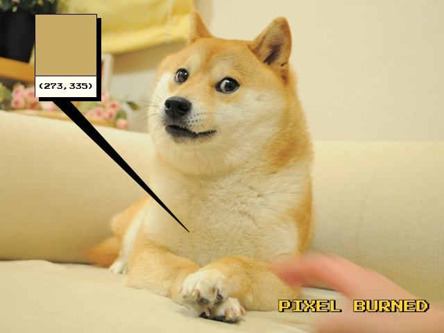DogePixelBot's tweet photo. Pixel (273, 335) burned by lachlanbeaton.eth
https://t.co/3RP2nKjn85 https://t.co/m5zrrox9Tt