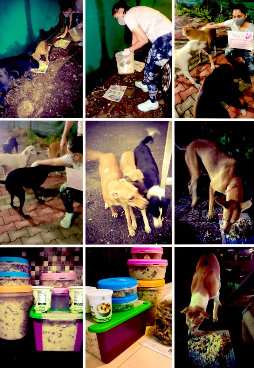 pswith_love's tweet image. Hi tweeps, RT FOR GOOD KARMA, help me raise funds for the care of homeless and rescued dogs. Despite my best efforts few bills are accumulating since January 2023, it’s been overwhelming, support to the extent possible. DM/WhatsApp for more details.
GPAY: 9511853721.
#HelpAnimals