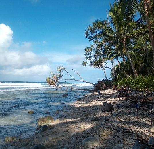 Signs of coastal erosion are found everywhere along Fanalei Island's beaches. Freda & Marie are here this week to document signs of environmental change and teach Fanalei people about local and global drivers of these changes. #saveislands #ClimateJustice #PrayerPeopleGiving