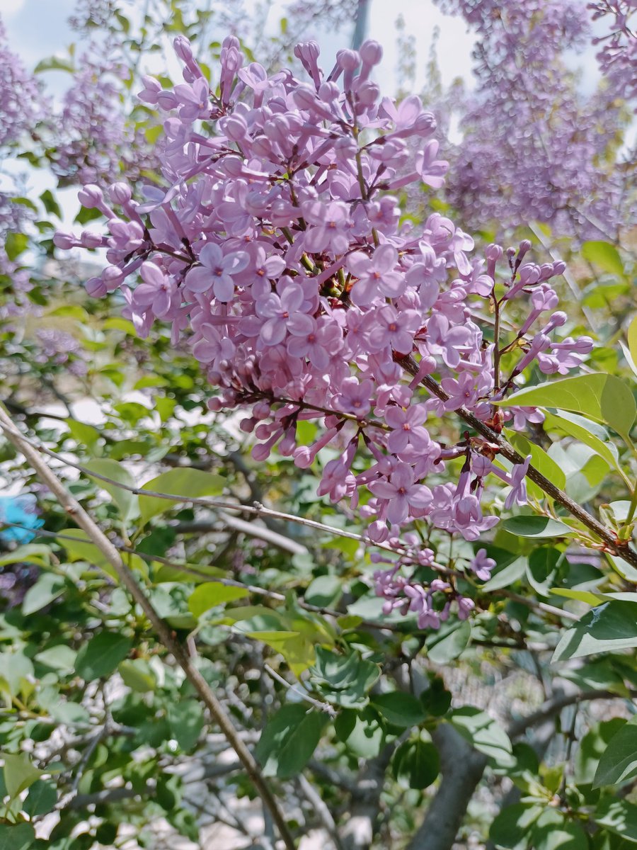 Keşke kokunu alabilseydiniz 🙃