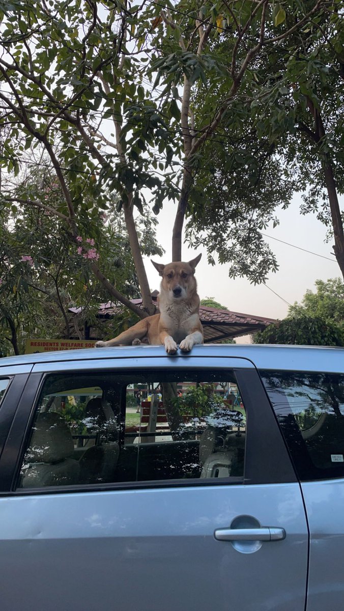 Saw a fren like this today ✨