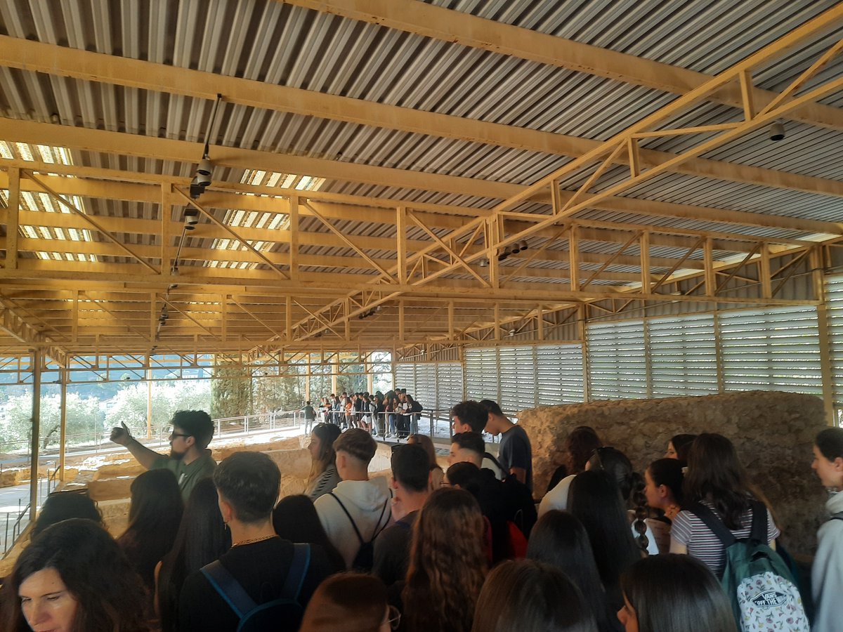 IES Maimónides tweet media