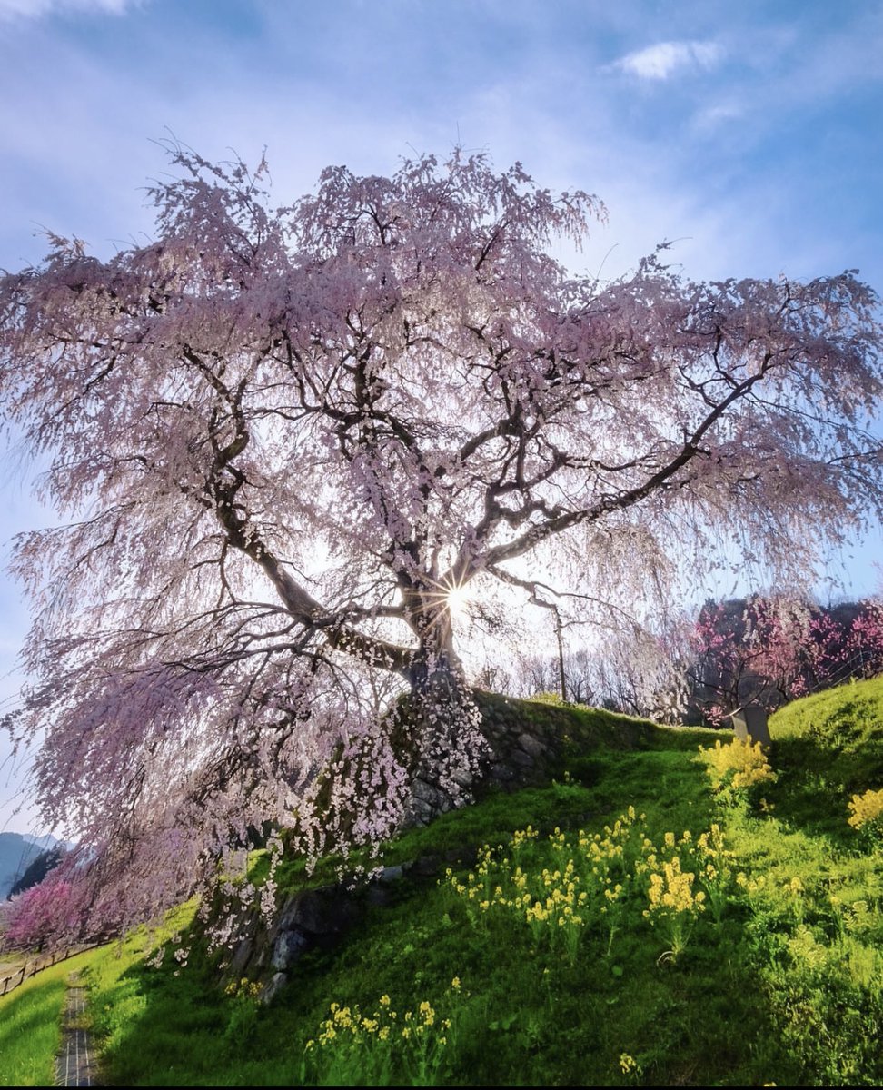 Good morning☀️

Have a wonderful week🌸💚