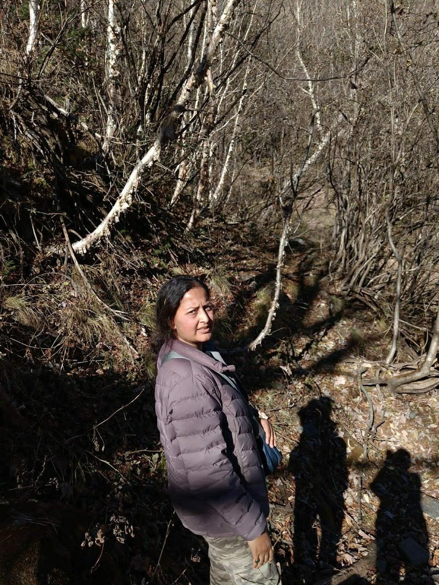 #FieldDiaries
#Betula